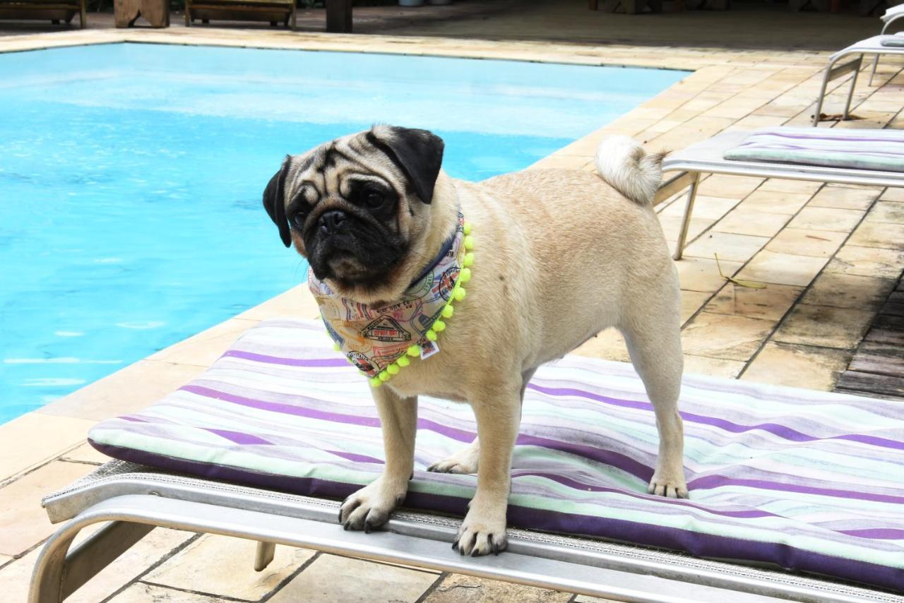 Pousada Portal Do Cacau-Petfriendly Camburi  Εξωτερικό φωτογραφία