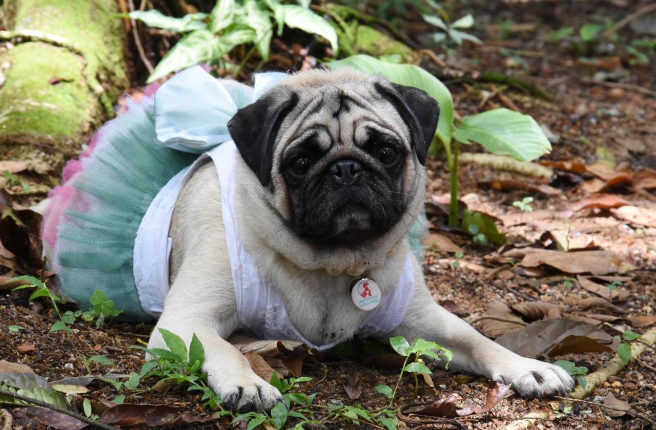 Pousada Portal Do Cacau-Petfriendly Camburi  Εξωτερικό φωτογραφία