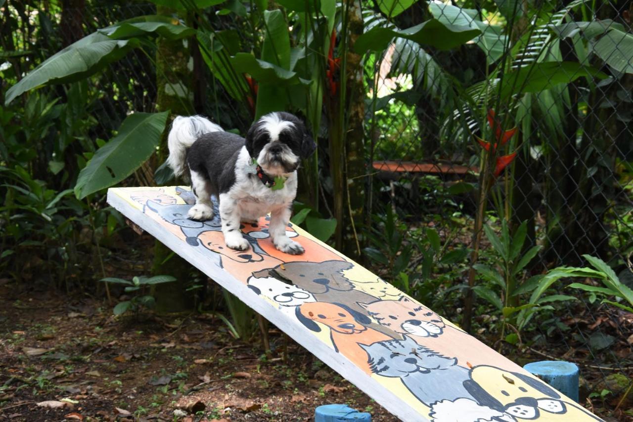 Pousada Portal Do Cacau-Petfriendly Camburi  Εξωτερικό φωτογραφία